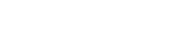 RoicomIA